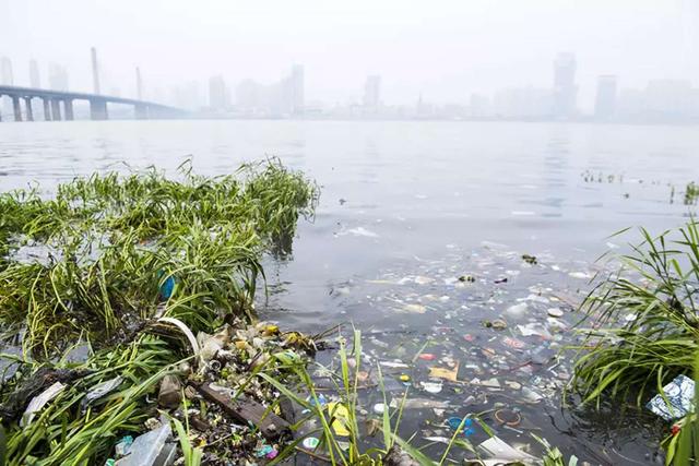 是什么让河流变成垃圾桶?“河流守望者”们坐不住了…
