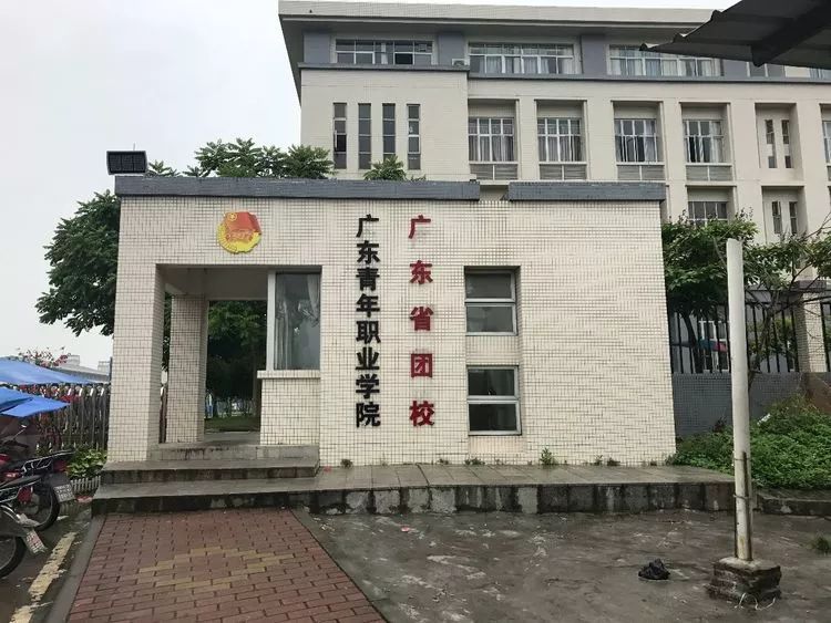 /ueditor/image/2018/11/19/1d62779599edcf221514f0c9a5330704.jpg 直通车8.jpg