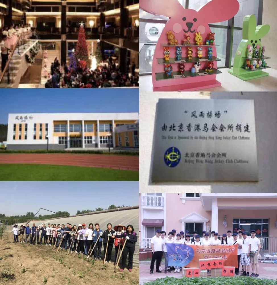/ueditor/image/2018/12/15/7520d8bc274d4e48aefb73fdb0267663.jpg 慈善酒宴14.jpg
