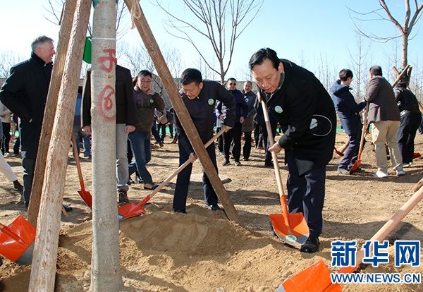 /ueditor/image/2019/03/22/2e3067946e61a943786a2366f43664d6.jpg 我国2019“国际森林日”植树活动举行 7年共栽苗木7900余株.jpg
