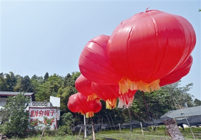 返乡创业授人以渔 让贫困村摘掉穷帽子 1.jpg