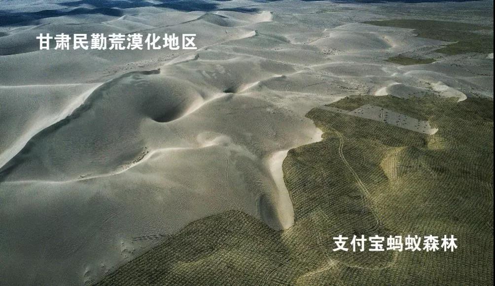 /ueditor/image/2019/07/26/249547685f39a8734032b5acfc597086.jpg 两天、84万次访问、30余万元捐赠,打着游戏也能做公益9.jpg