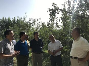 中国电商扶贫联盟走进阿克苏开展电商扶贫2.jpg