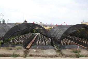 中国电商扶贫联盟走进阿克苏开展电商扶贫1.jpg