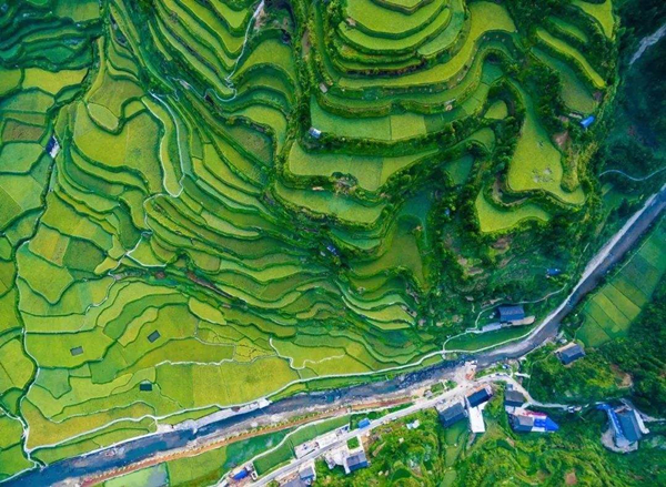 /ueditor/image/2019/08/27/1ea2a92f09e592fbf60ce0fa0690b8de.jpg 聚焦时代楷模六老汉三代人治沙群体.jpg